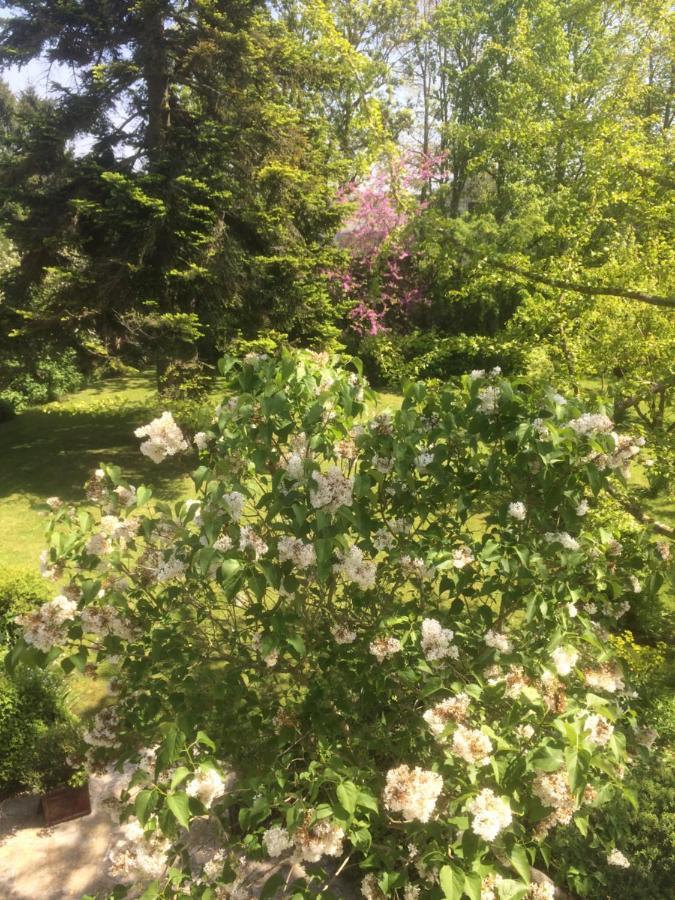 De Ma Fenetre Bed & Breakfast Saint-Martin-des-Entrees Bagian luar foto