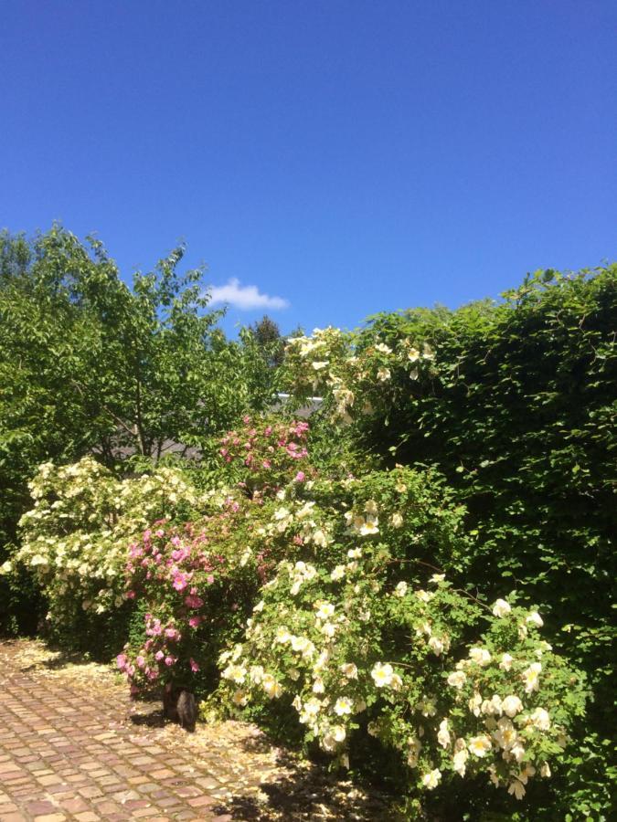 De Ma Fenetre Bed & Breakfast Saint-Martin-des-Entrees Bagian luar foto